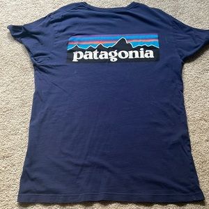 patagonia tee